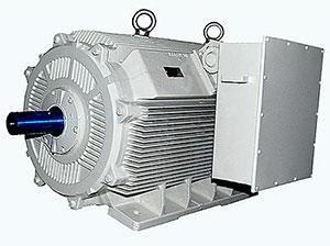 Low Voltage Motor