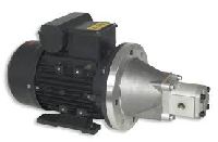Hydraulic pump moto
