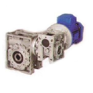 Double Worm Gear Motor