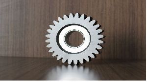 Spur Gear