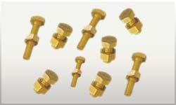 Brass Bolts