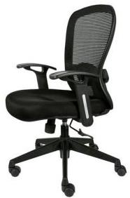 Sitting Executive Chair