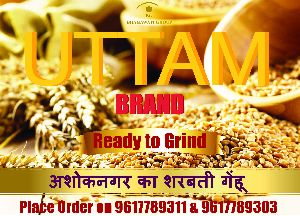 Uttam Brand Sharbati Wheat Seeds