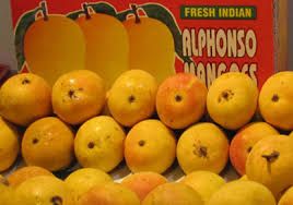 Alphonso Mango