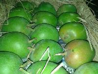 Fresh Green Mango