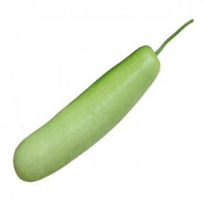 Bottle Gourd