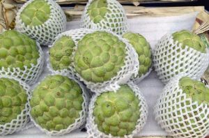 Fresh Custard Apple