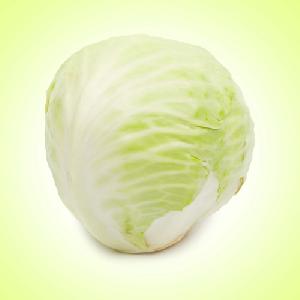 Fresh Cabbage