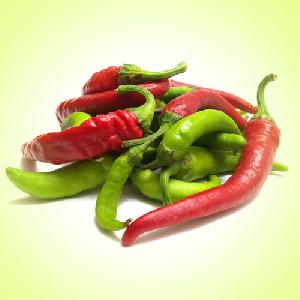 Fresh Chilli