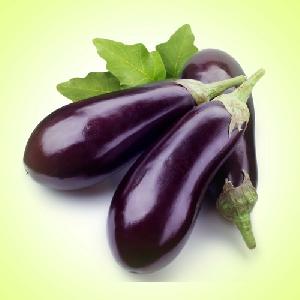 Fresh Eggplant