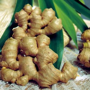 Fresh Ginger