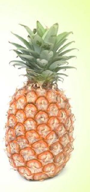 Fresh Pineapple