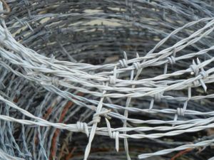 Steel Barbed Wire