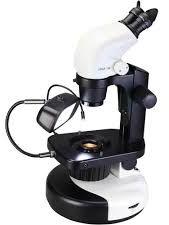 gemological microscope