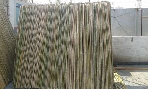 bamboo fencing