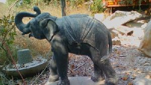 Granite Stone Elephant Statue