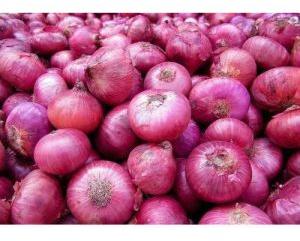 Red Onion