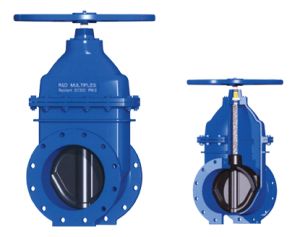 Wedge Gate Valve