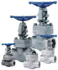 Forged steel valves