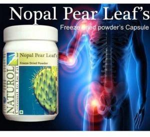 Naturol Nopal Fruit Powder 90 Capsules