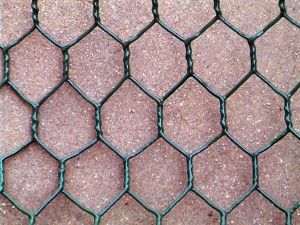 Hexagonal Wire Mesh