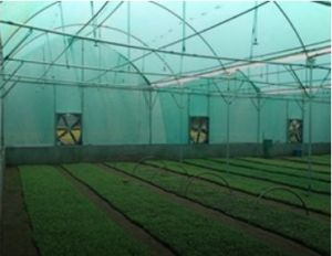 Hi-Tech Agriculture Shade Nets