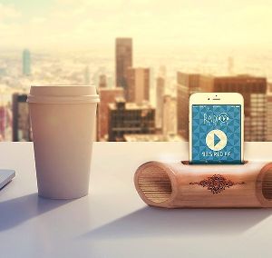 Bamboo Speaker