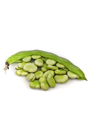 Broad Beans