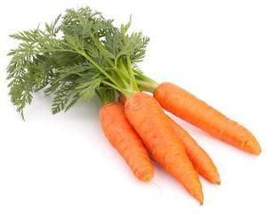 Carrot