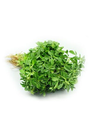 Fenugreek Leaves