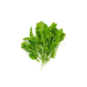 MICROGREEN SPINACH SEEDS