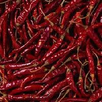 Indian Red Chilli
