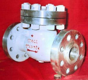 Swing Check Valve