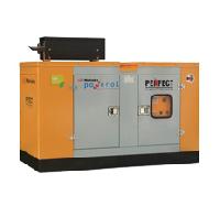 CNG PNG Gensets