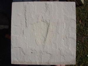 Beige Natural Sandstone