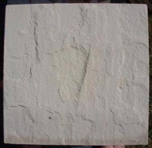 Beige SandStone