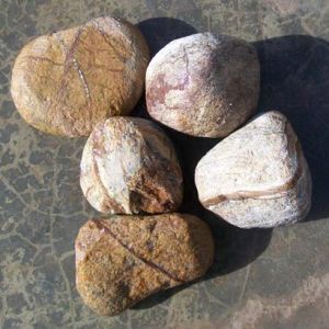 Brown Pebbles