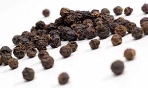 Black Pepper Seeds