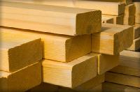 Softwood Timber