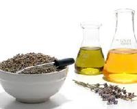 tea seed oil
