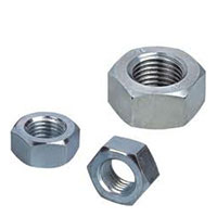 Hex Nut