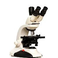 Trinocular Microscopes