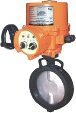 Motorized Butterfly Valve