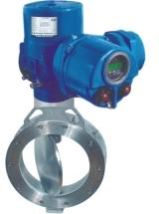 Motorized High Performance Butterfly Valve