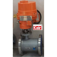 Motorized Jacketed Ball Valves