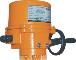 Motorized Valve Actuator - Single Phase