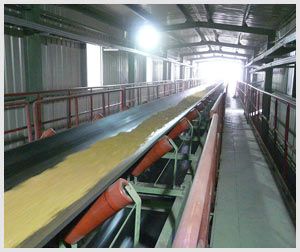 Belt Conveyor