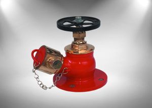 Double Headed Fire Hydrant Valve