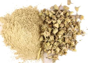 gokhru powder