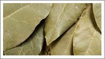 Bay Leaves